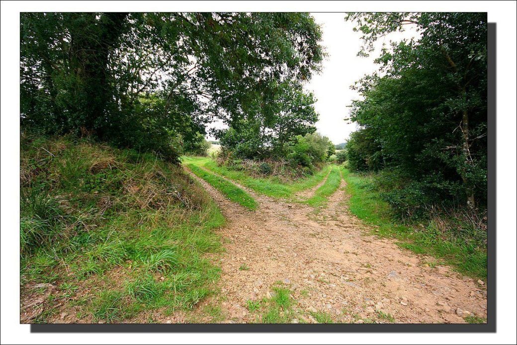 CROISEE DES CHEMINS
